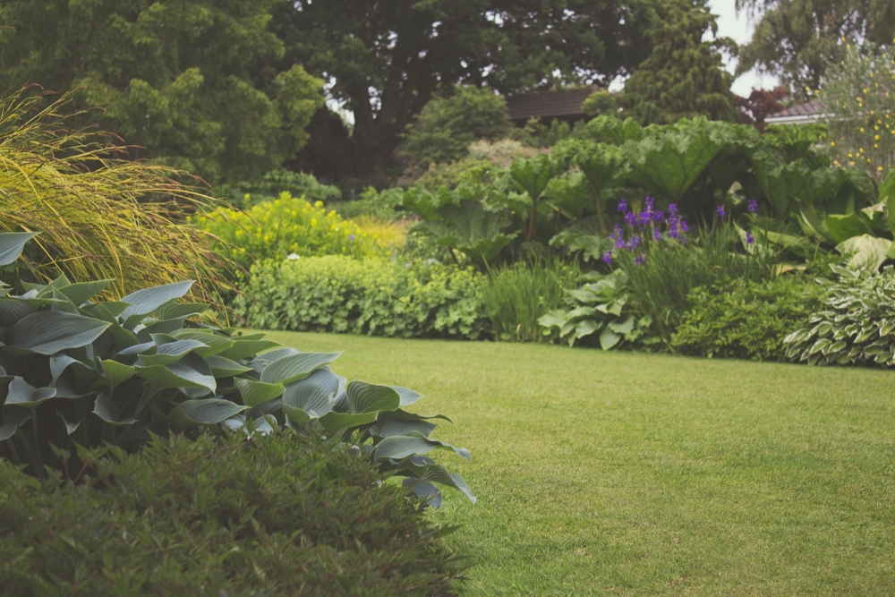 What is the purpose of edging a lawn