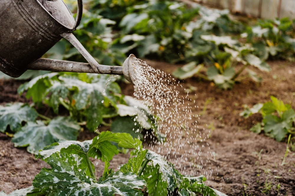 ideas for flower bed borders